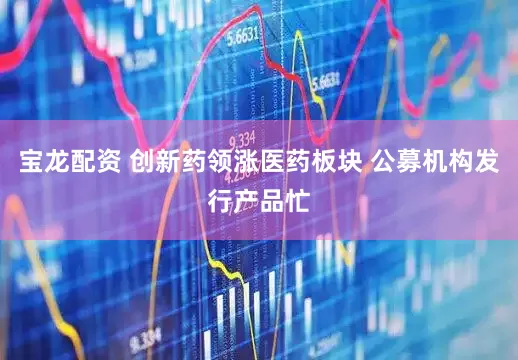 宝龙配资 创新药领涨医药板块 公募机构发行产品忙