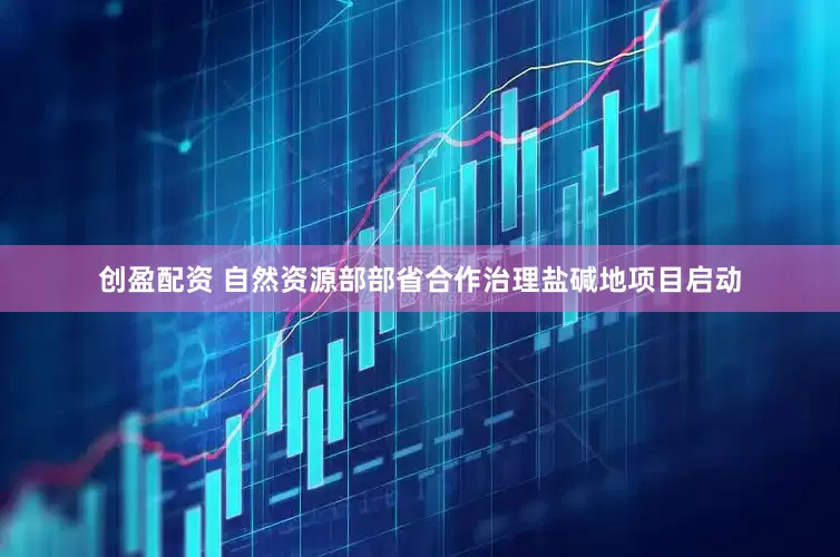 创盈配资 自然资源部部省合作治理盐碱地项目启动