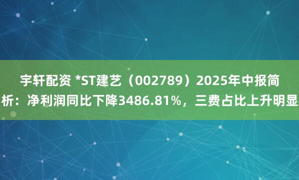宇轩配资 *ST建艺（002789）2025年中报简析：净利润同比下降3486.81%，三费占比上升明显