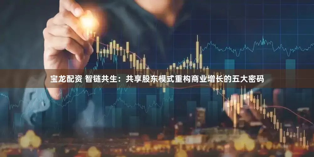 宝龙配资 智链共生：共享股东模式重构商业增长的五大密码