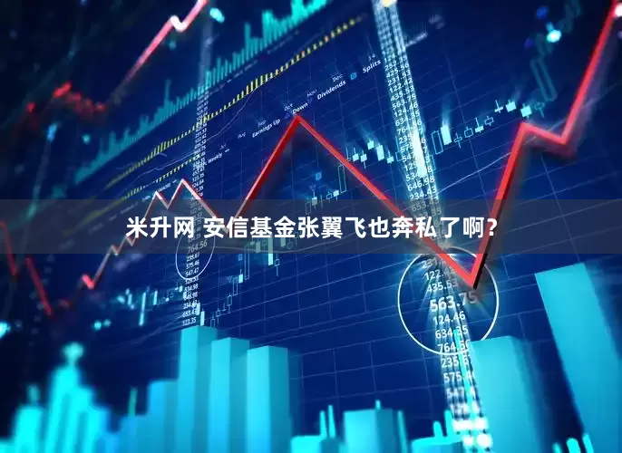 米升网 安信基金张翼飞也奔私了啊?
